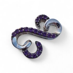 Chic Silver and Purple Necklace